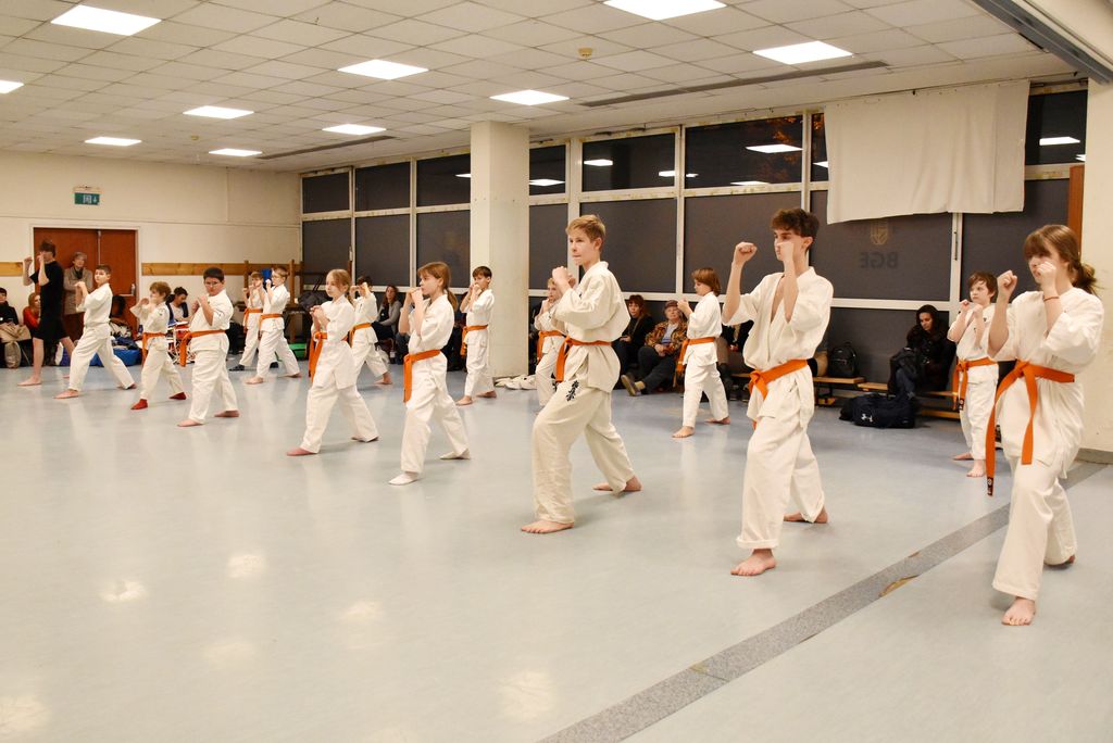 2024.12.13. kozephalado vizsga