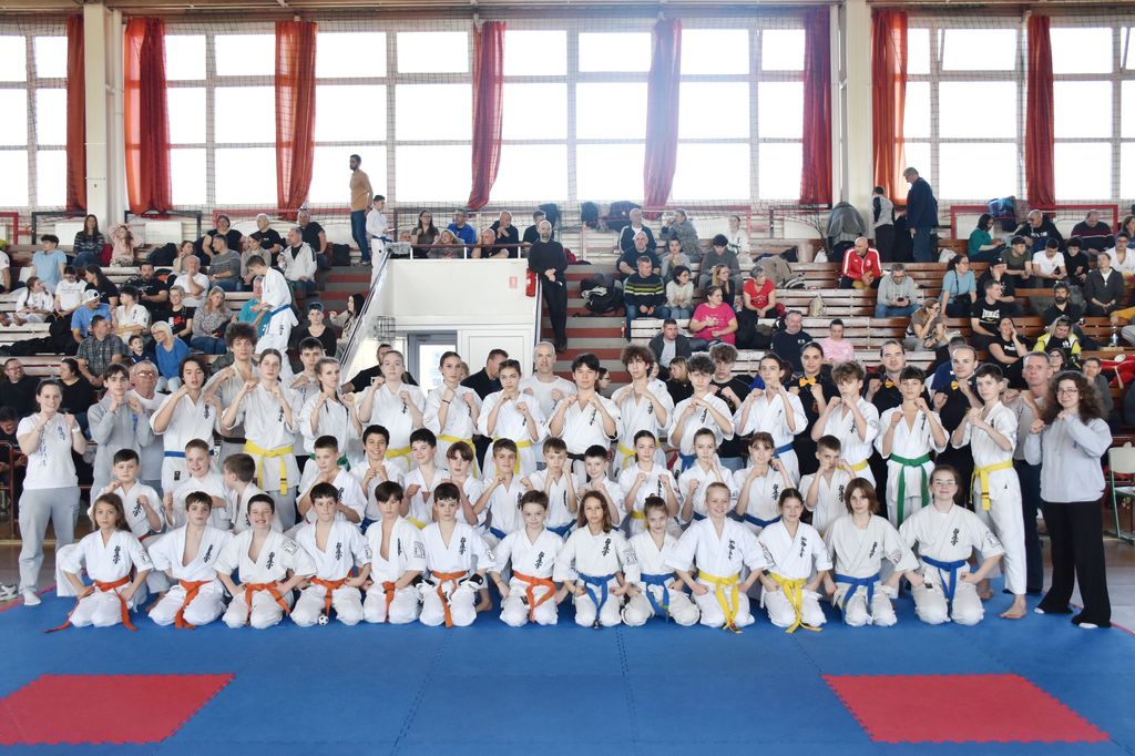 2026.02.28. diakol elodonto